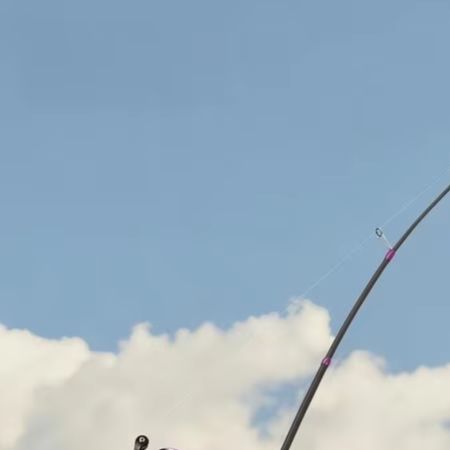 Fishing Rod Carbon Fiber - 1.8M Voor BFS Dedicated L Action